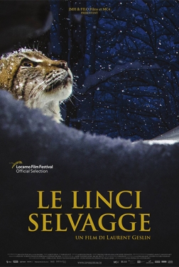 Le linci selvagge (2021)